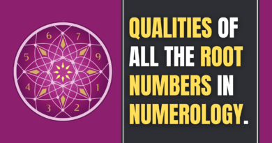 root numbers in Numerology